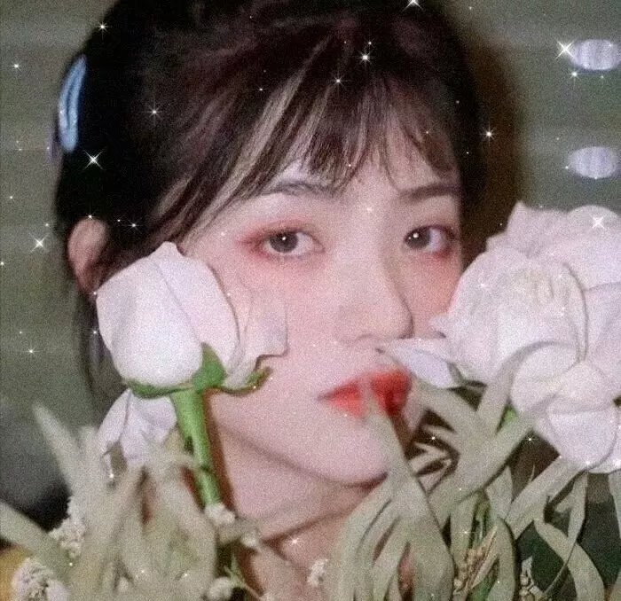 蕾雅与我